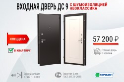ДС 9 ПРАЙМ 01